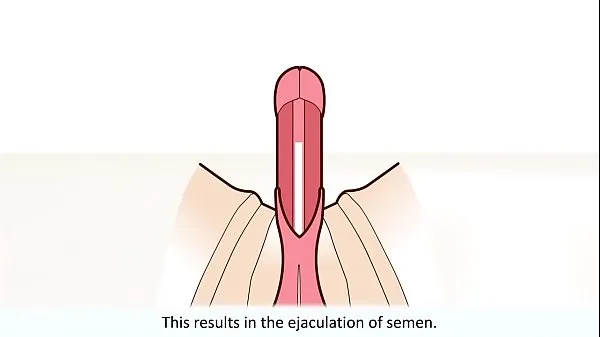 Hete The male orgasm explained warme films