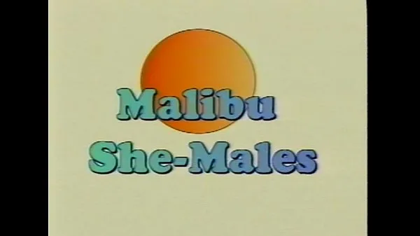 Hot Metro - Malibu Sme Males - Full movie warm Movies