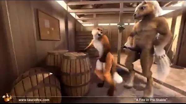 Hot Fox in the stables warm Movies