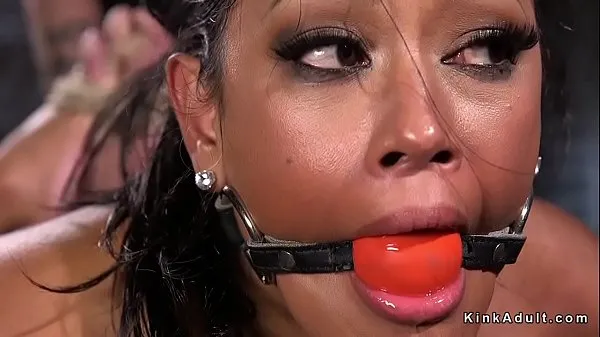 गर्म Hogtied gagged brunette drooling गर्म फिल्में