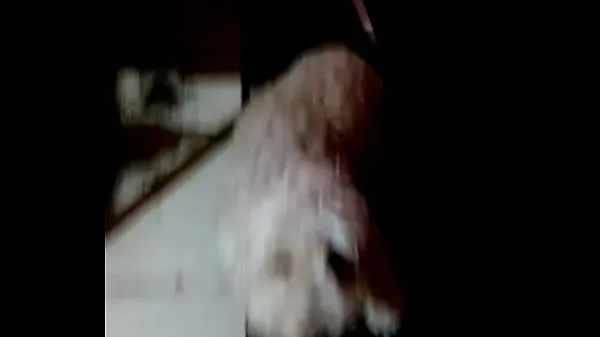 Film caldi Scopro il mio cane con la pallacaldi