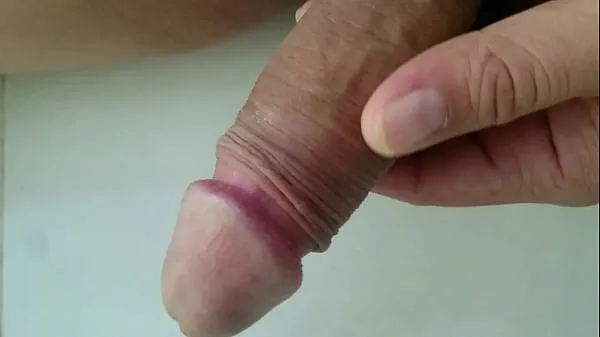 Hot Cock's Hardening Process warm Movies