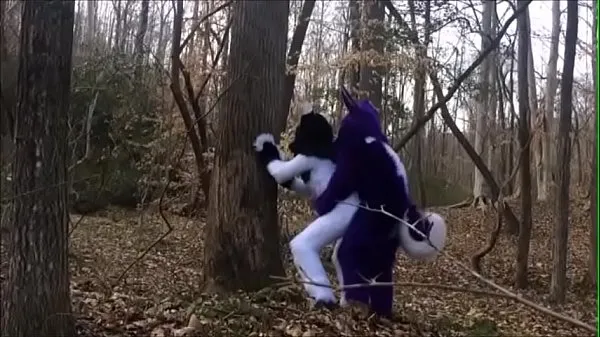 Καυτές Fursuit Couple Mating in Woods ζεστές ταινίες