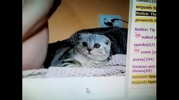Žhavé Camgirl masturbating next to scared cat žhavé filmy