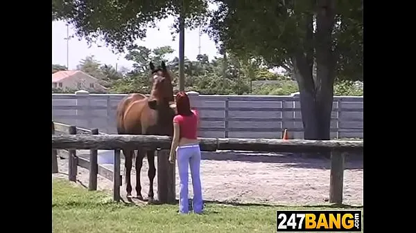Populárne Horse Girl horúce filmy