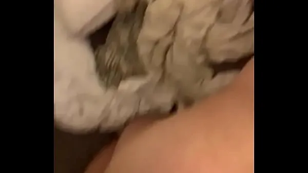 Chinese/Latina bbw named Jade comes over to let me cum in her while she tells me about other guys she has lined up to cum in her Filem hangat panas
