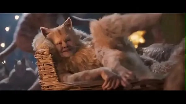 热Cats, full movie温暖的电影