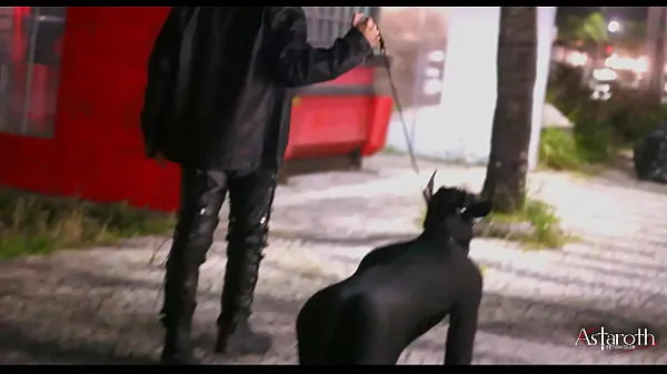 Hot Master takes his pet dog for a walk in the City. P1 warm Movies