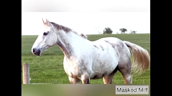 أفلام ساخنة Horny Milf takes giant horse cock dildo compilation | Masked Milf دافئة