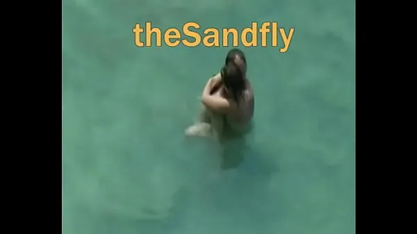 Hot theSandfly Sweet Sights On The Beaches warm Movies