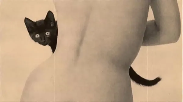 热Vintage Taboo, Pussy & Pooch温暖的电影