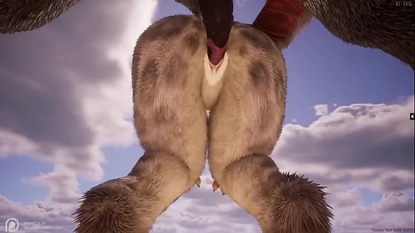 Καυτές Wild Life Furry Hentai ζεστές ταινίες